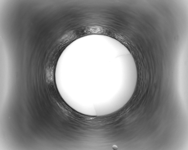 X0000084520606200703161549