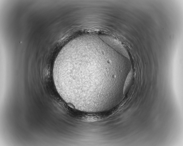 X0000084520608200703161549