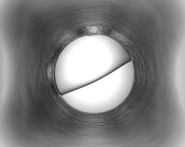 X0000084520611200703161549