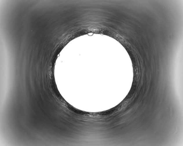 X0000084520612200703161549