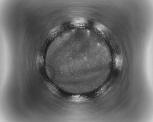 X0000084520614200703161549