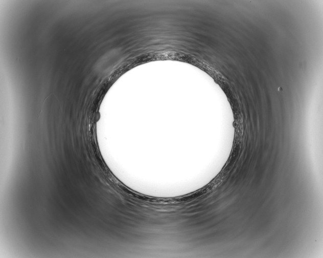 X0000084520615200703161549