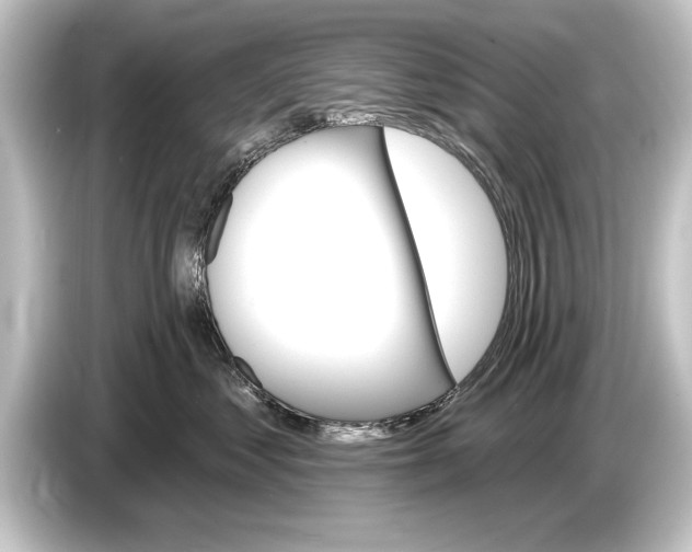 X0000084520621200703161549