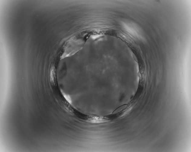 X0000084520623200703161549