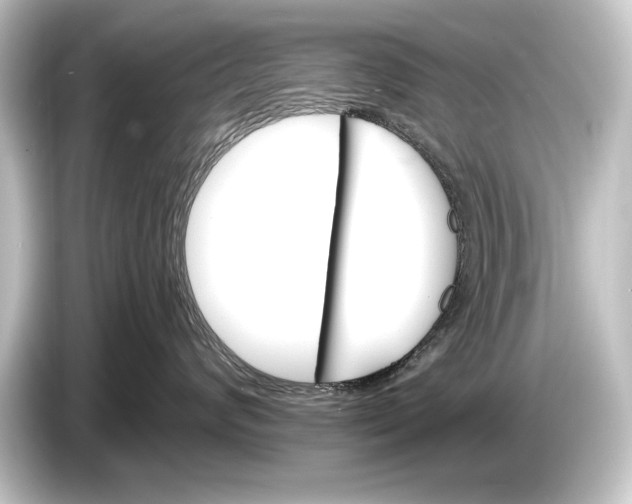 X0000084520624200703161549