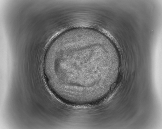 X0000084520625200703161548