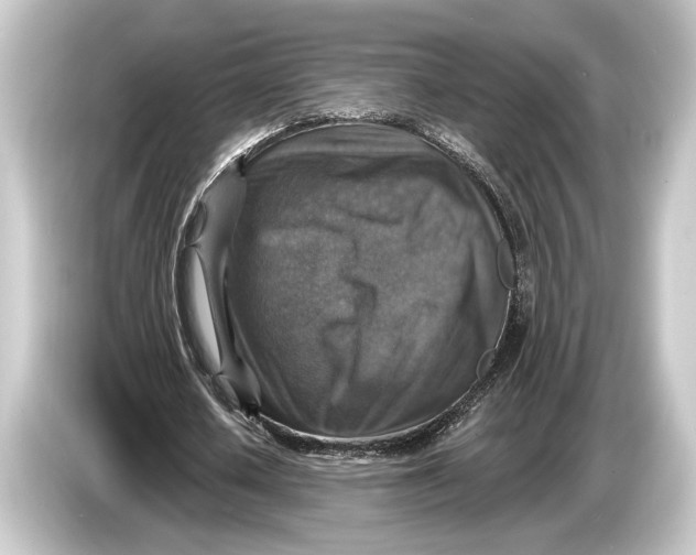 X0000084520626200703161548