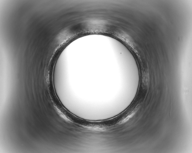 X0000084520629200703161548