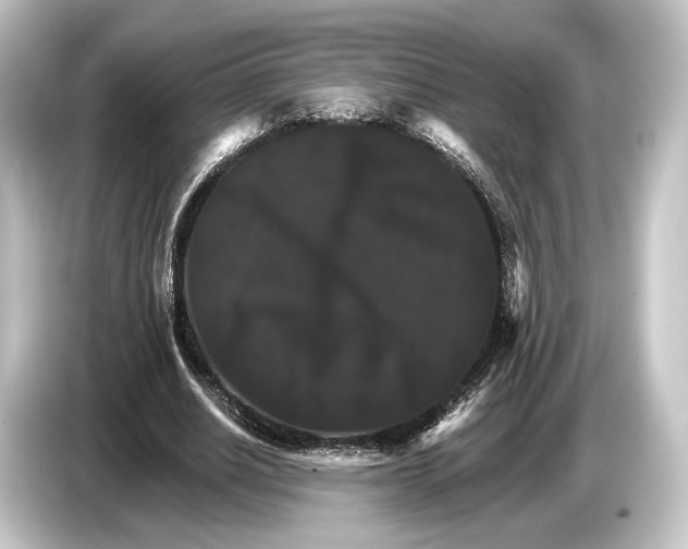 X0000084520630200703161548