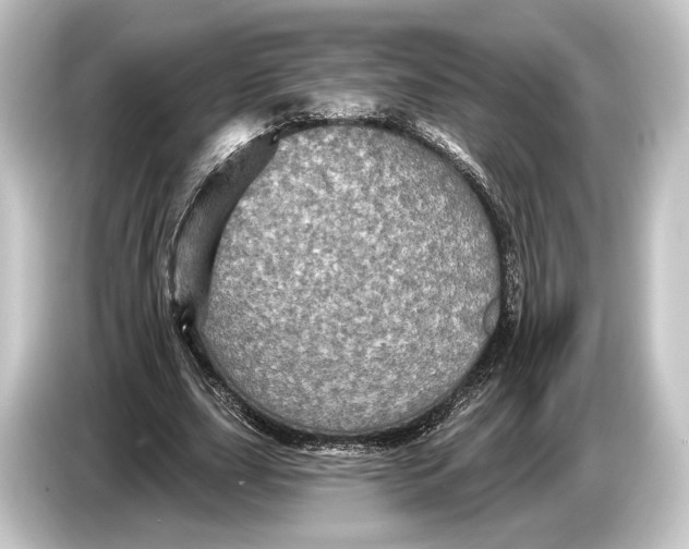 X0000084520631200703161548