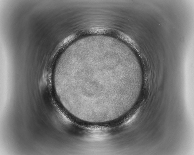 X0000084520633200703161548