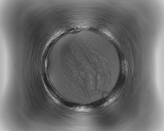 X0000084520634200703161548