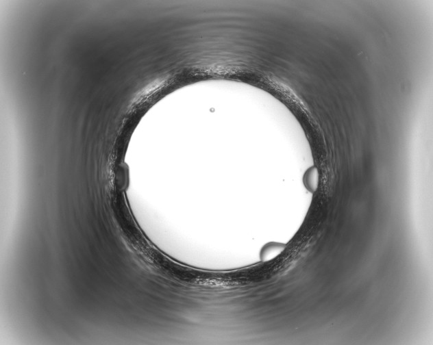 X0000084520635200703161548