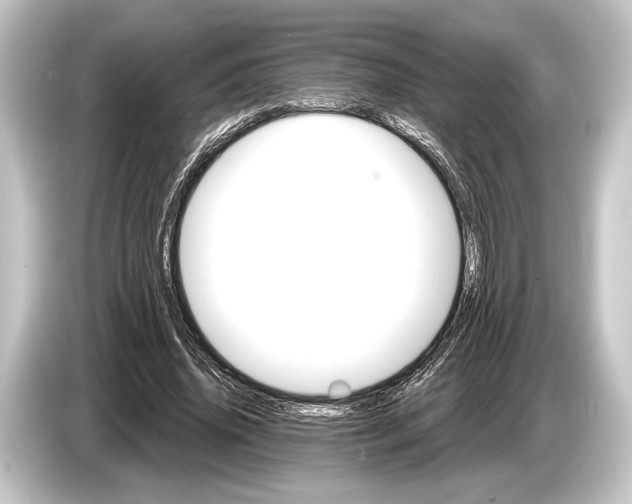 X0000084520636200703161548