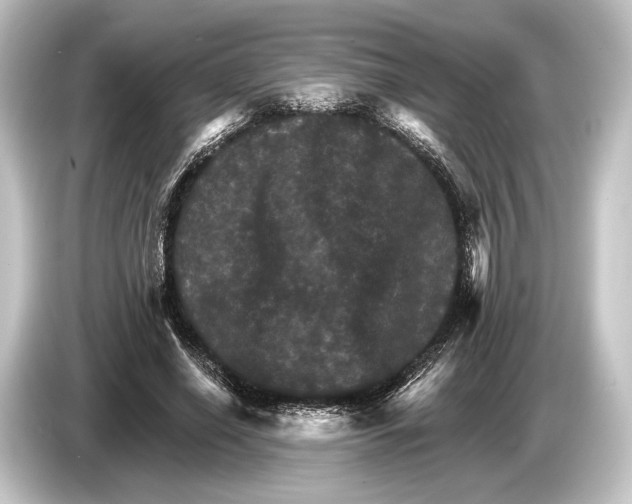 X0000084520638200703161548