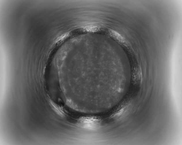 X0000084520639200703161548