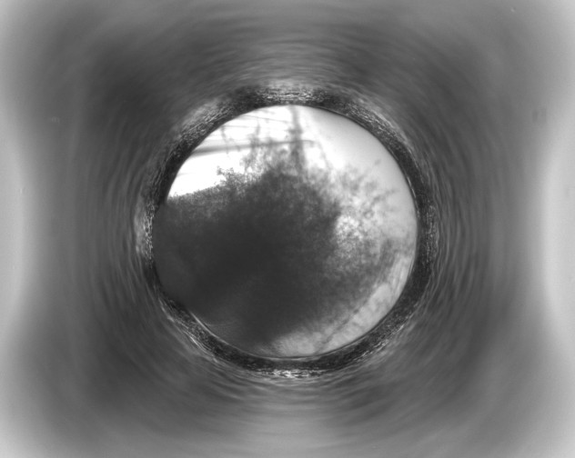 X0000084520641200703161548