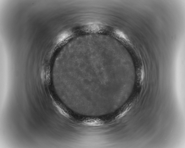 X0000084520642200703161548