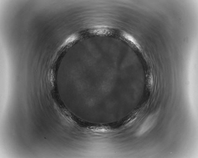 X0000084520643200703161548