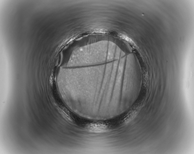 X0000084520644200703161548