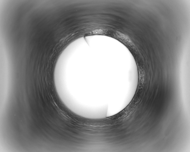 X0000084520645200703161548