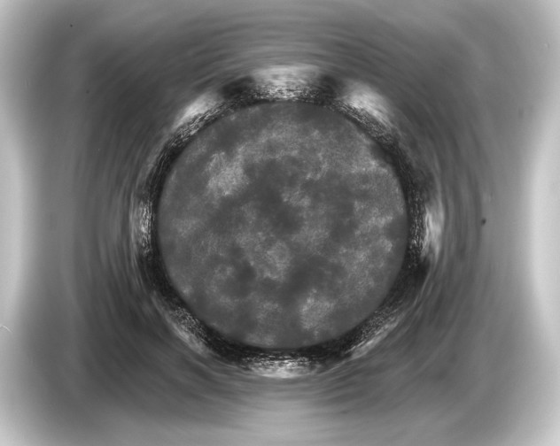 X0000084520646200703161548