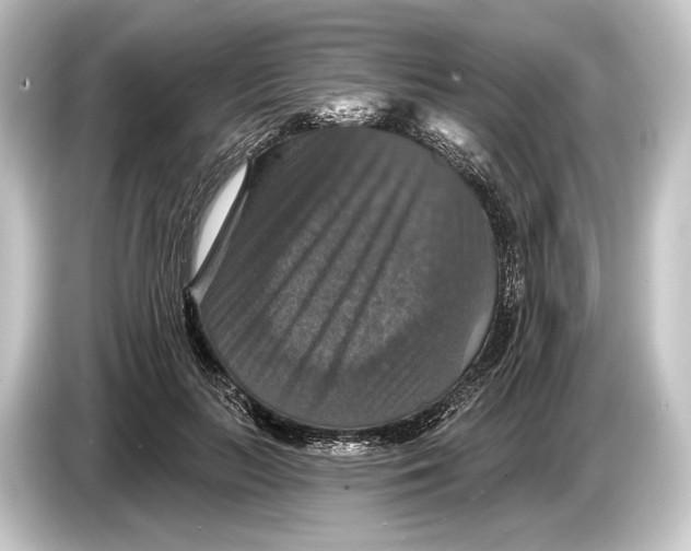 X0000084520647200703161548