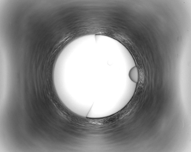 X0000084520648200703161548