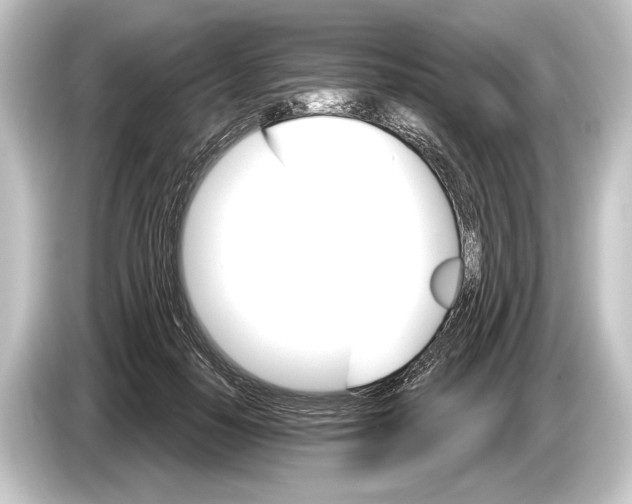 X0000084520650200703161548