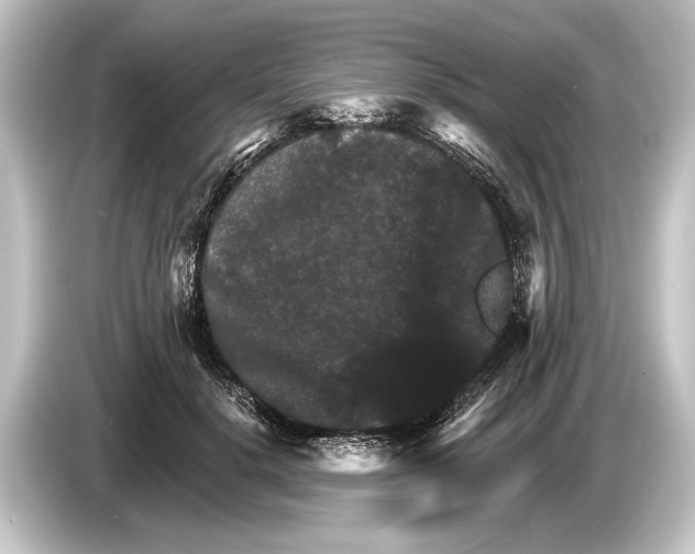 X0000084520652200703161548