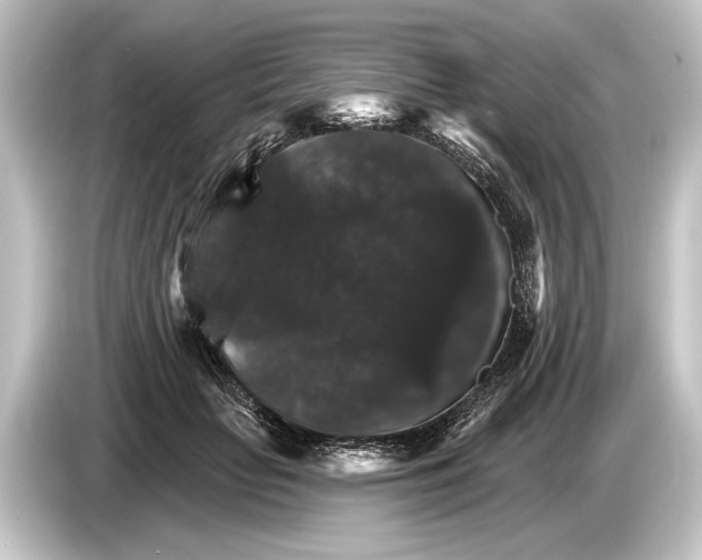 X0000084520653200703161548