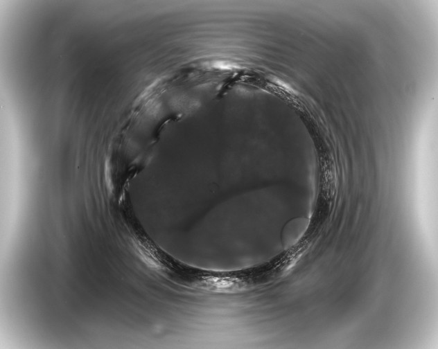 X0000084520654200703161548