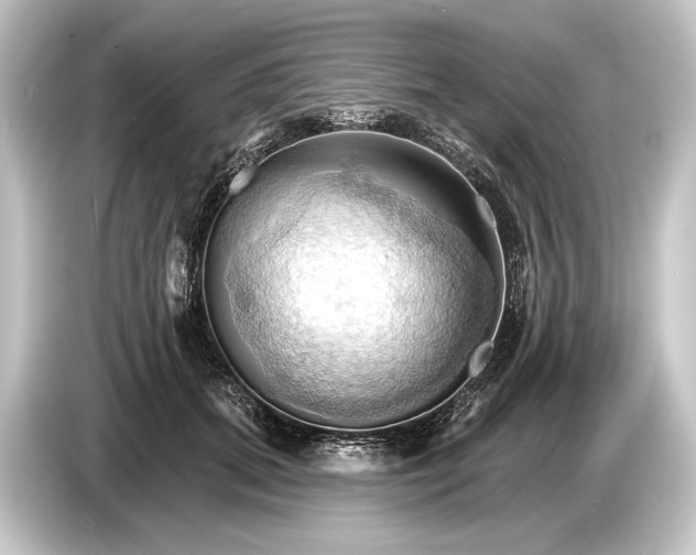 X0000084520655200703161548