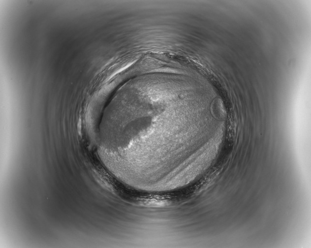 X0000084520656200703161548