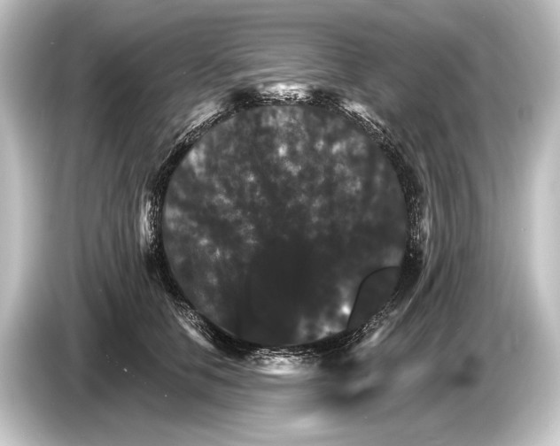 X0000084520658200703161549