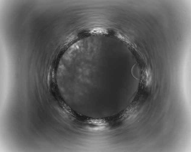 X0000084520659200703161549