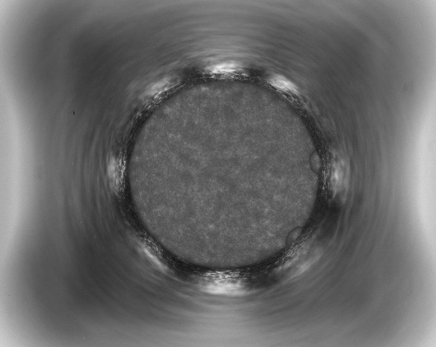 X0000084520660200703161549