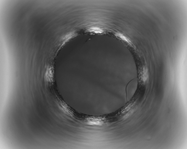 X0000084520661200703161549