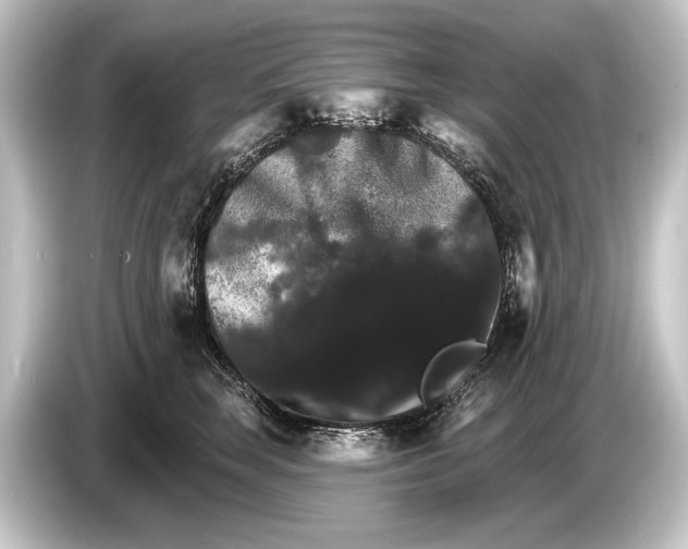 X0000084520663200703161549