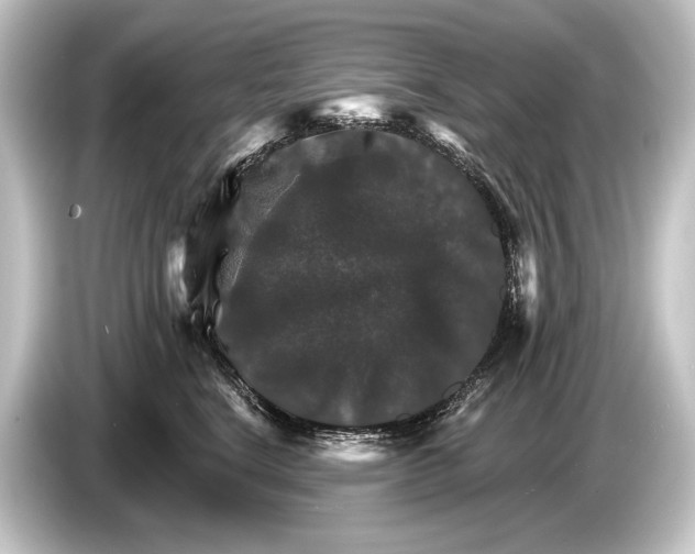 X0000084520664200703161549