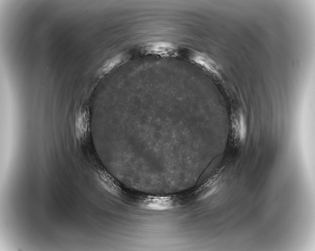 X0000084520665200703161549