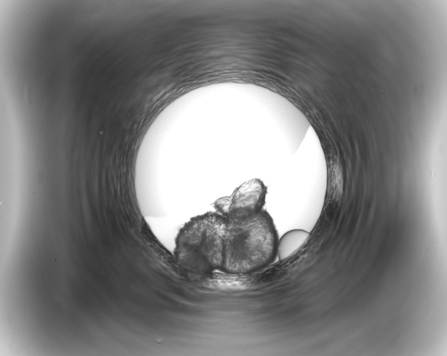 X0000084520668200703161549