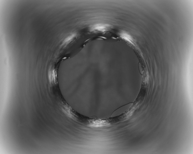 X0000084520669200703161549