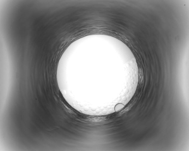 X0000084520670200703161549