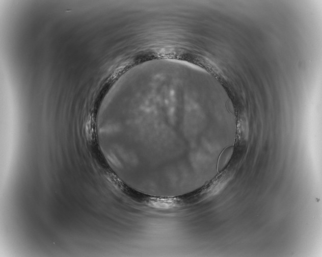 X0000084520671200703161549