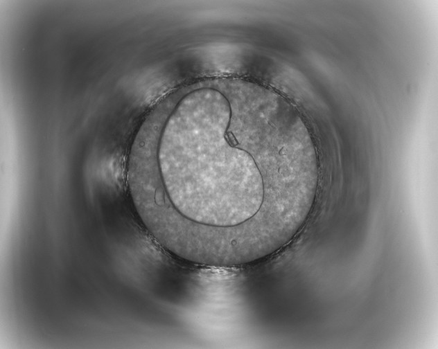 X0000084520672200703161549