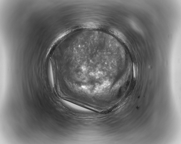 X0000084520675200703161548