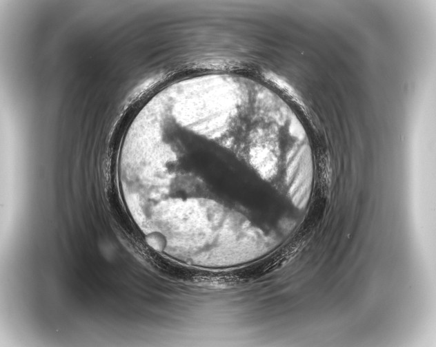 X0000084520679200703161548