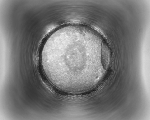 X0000084520680200703161548