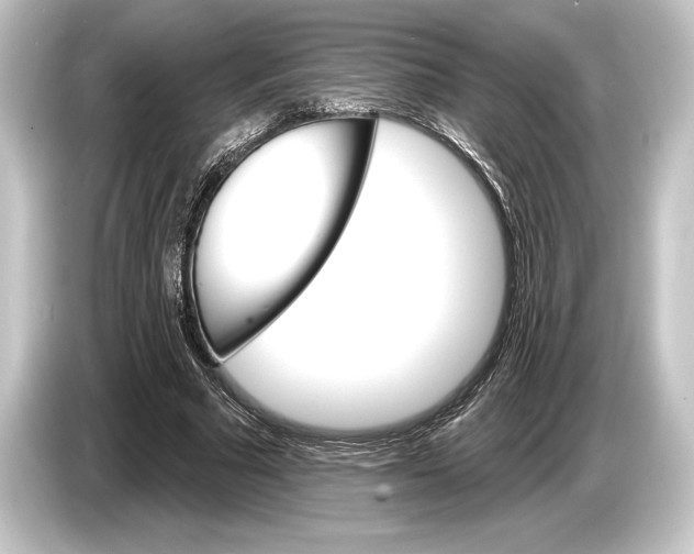 X0000084520681200703161548